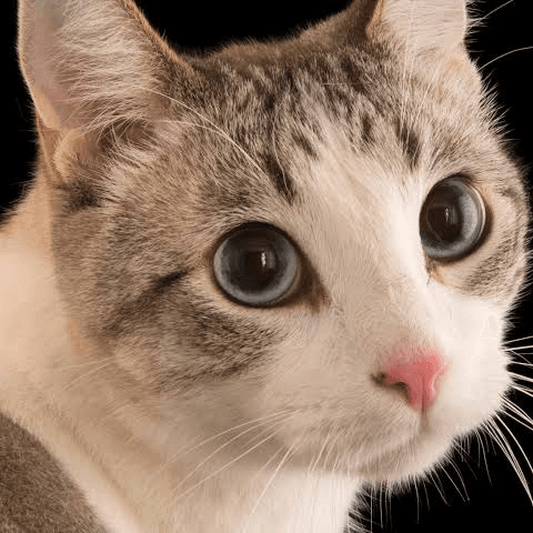 Test quanitty