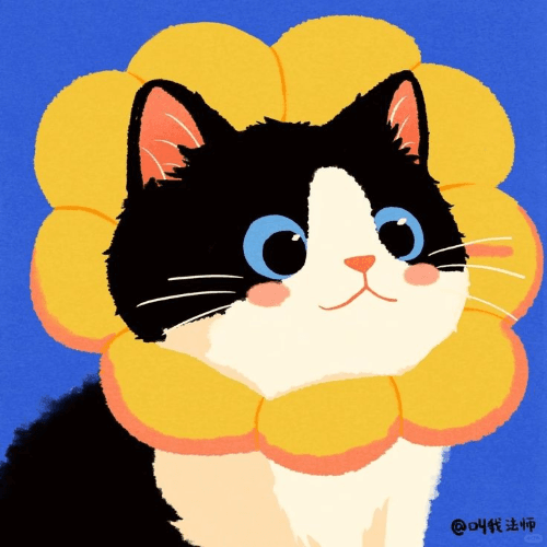 Cat DDDD