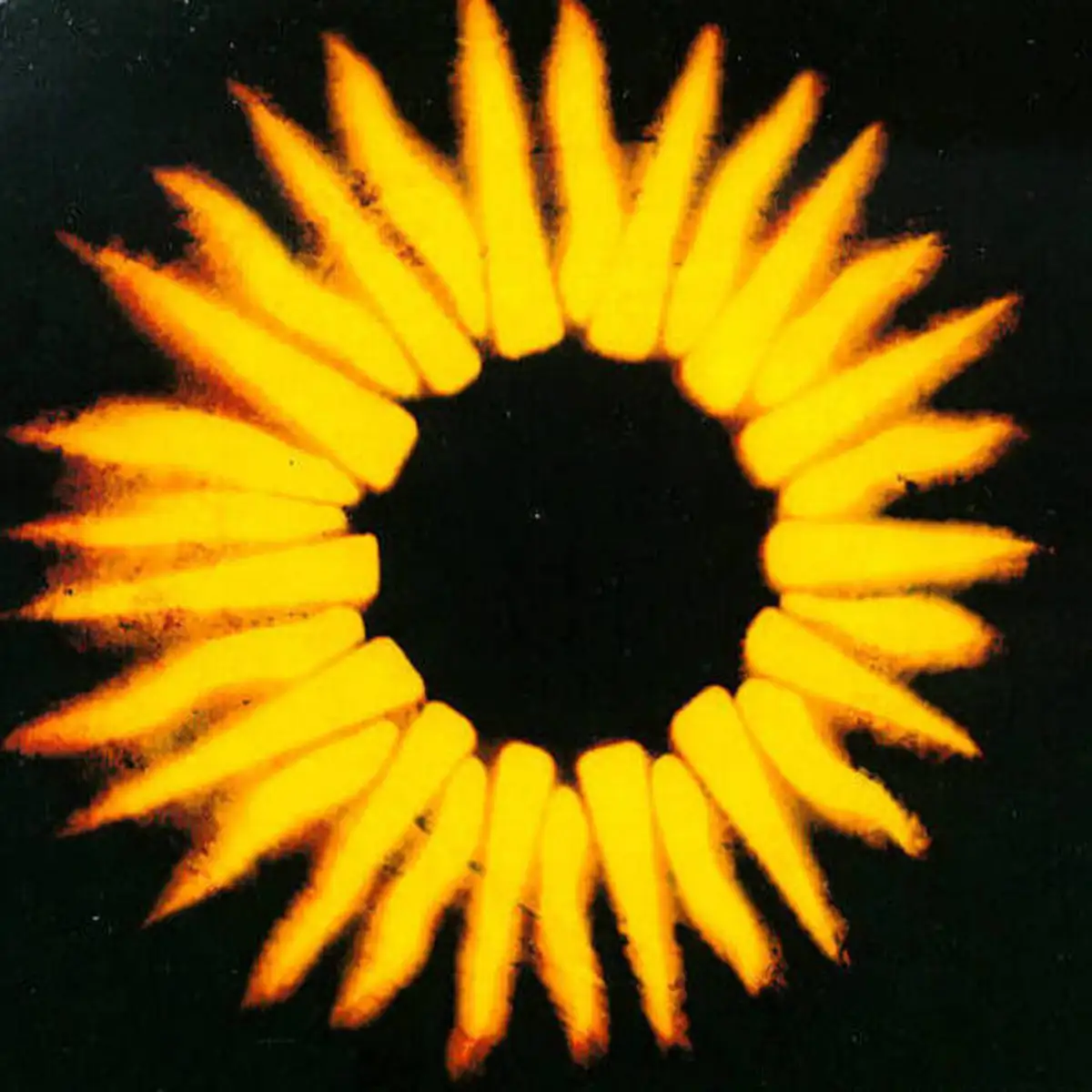 detail-image-0