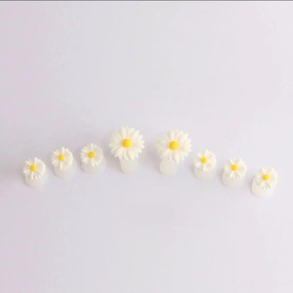 Yellow Daisy