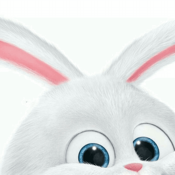 detail-image-0