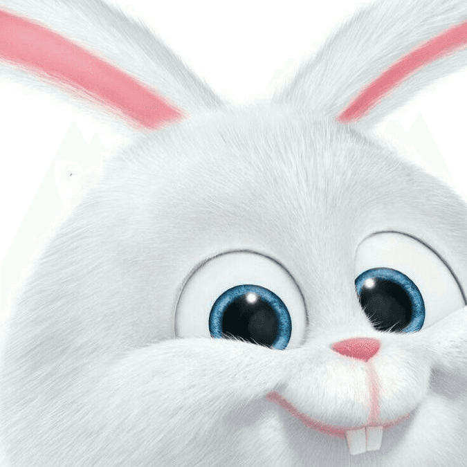 detail-image-3